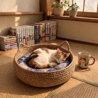 Cat sleeping in a woven pet bed with books and a mug in the background